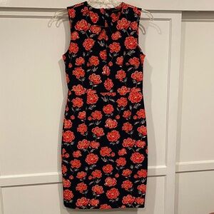 Banana Republic Floral Sleeveless Dress - Navy and Red
